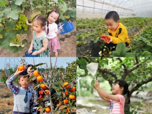 康輝旅游網(wǎng)肇慶星酒店、豪嘆自助餐、星湖游船+觀鳥、澳雪、金象山、純玩2天