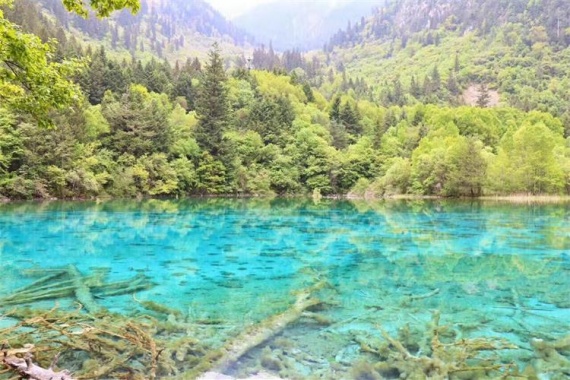 康輝旅游網(wǎng)<必發(fā)>廣州往返成都 深度全景 九寨 黃龍 熊貓/都江堰 樂(lè)山 峨眉 7天