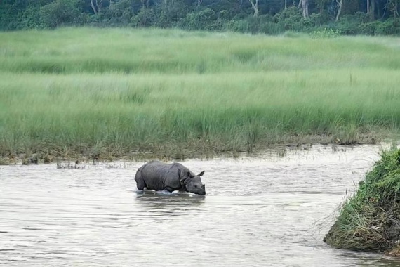 康輝旅游網(wǎng)【自營·戰(zhàn)車節(jié)】<狂歡戰(zhàn)車節(jié)>尼泊爾全景純玩雙飛8天（CZ）