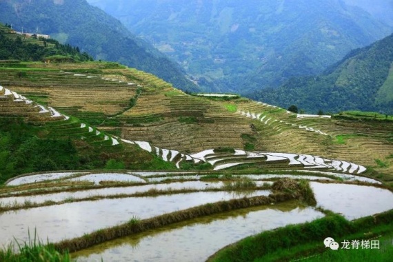 康輝旅游網(wǎng)ZM<五一·星光龍脊>雙動(dòng)3天，龍脊梯田+DIY糯米飯+插秧+桂海晴嵐+象鼻山