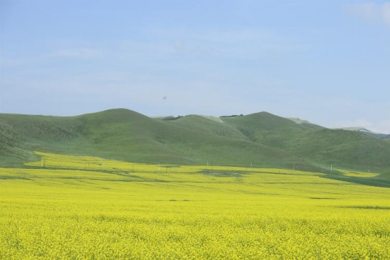 康輝旅游網(wǎng)<遇見>廣州北京/天津往返，大青山裂縫徒步、黃崗梁林海、烏蘭布統(tǒng)草原純玩5日游