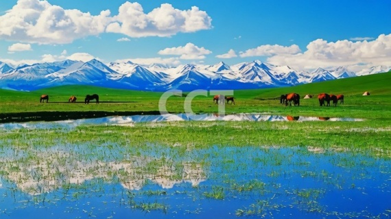 康辉旅游网2026大连出发到新疆乌鲁木齐+北疆+喀纳斯景区+伊犁+天山天池+那拉提+赛里木湖12日11晚拼小团⭐⭐⭐⭐⭐【观日出 无人机航拍 飞机往返 湖泊 草原 亲子友好 家庭友好 拼小团 放心游 0购物0自