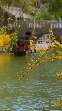 康辉旅游网<纯玩赏枫>深圳出发赣州+上犹+陇南高铁3天2晚跟团游，寻仙南武当、阳明湖赏枫、夜观江南宋城