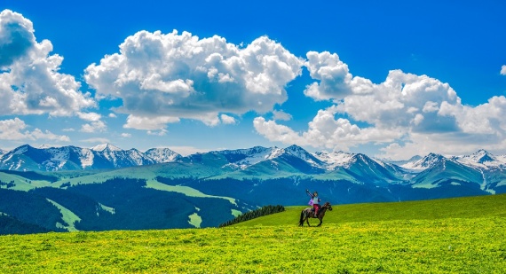 康辉旅游网【康辉自组 VIP小包团】禾木、喀纳斯、乌伦古湖、布尔津、赛里木湖 全民宿双飞10日