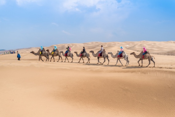 康辉旅游网<埃及游>深圳直飞10天 全程直航纯玩团 狮身人面像+吉萨金字塔+大埃及博物馆+菲莱神庙+孔翁坡神庙+阿米尔清真寺+卡纳克神庙 尼罗河低语10天团