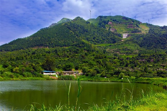 康辉旅游网肇庆新兴江门3地联游