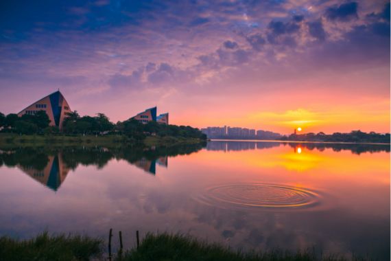 康辉旅游网<潇洒行>【春节特辑】中山东莞美食度假2天