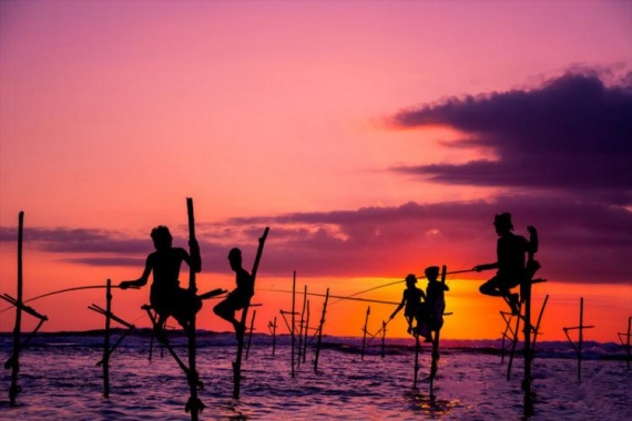 康辉旅游网<五一>广州往返斯里兰卡8天山海自然野趣之旅