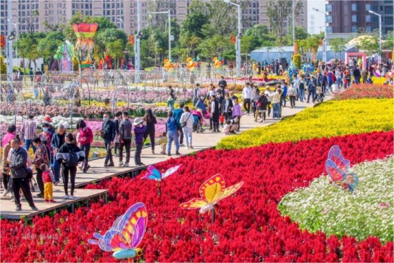 康辉旅游网<特惠游>【深中通道】花香菊城●中山东莞养生度假2天