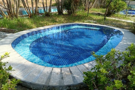 康辉旅游网【一价全包】江门迷彩古杉林·叹牛肉火锅·紫花风铃纯玩2天入住泽汇温泉酒店食足5餐