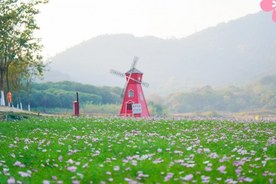 康辉旅游网【寻趣夏日】广州往返.广州番禺赤松宫、南沙游艇会、黄山鲁森林公园纯玩1天