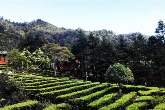 康辉旅游网广州往返广西贺州园博园温泉纯玩3天半自助游、连住2晚、食足4餐（2正2早）