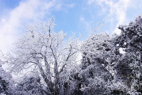 康辉旅游网<特惠>赏雾凇 泡温泉，广西双动4天，猫儿山+漓江源+龙脊梯田+兴坪古镇+象鼻山
