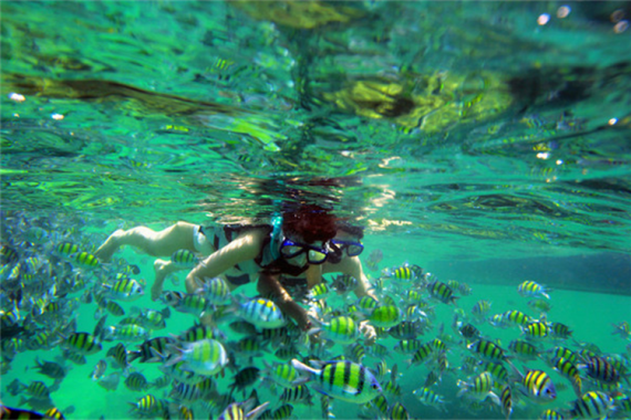 康辉旅游网寒假春节【千姿百泰plus亲子版】曼谷芭堤雅双飞5天4晚