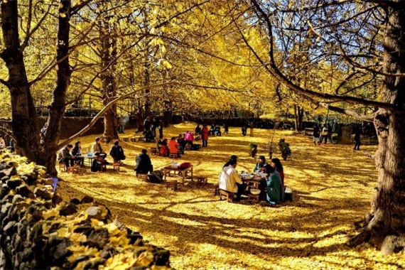 康辉旅游网<经典><大美腾冲>广州直飞芒市+瑞丽+腾冲双飞5天*（芒市往返12月-1月）