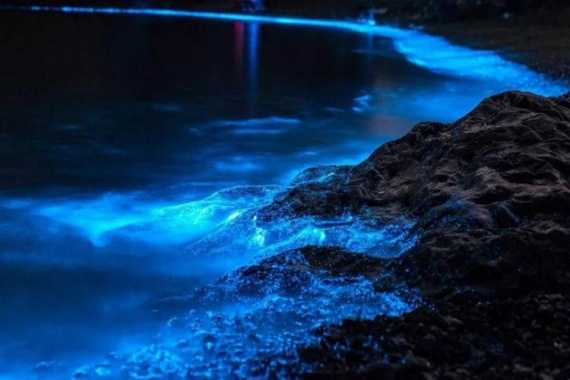 康辉旅游网广州往返福建平潭岛、猴研岛、仙人井、泉州、湄洲岛动车纯玩4天，特惠福建 双岛秘境