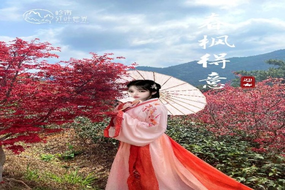 康辉旅游网<潇洒行>广州往返 新丰春枫节遇上河源枇杷节 无限量任吃自助牛肉火锅宴 纯玩3天