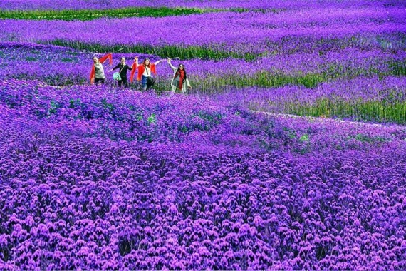 康辉旅游网<遇见巴东·鄂西林海>广州往返岳阳，猇亭古战场+平湖游船+野三关双高6天