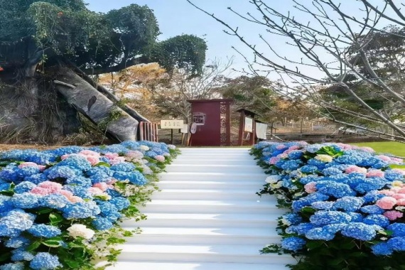 康辉旅游网<潇洒行>广州往返入住2025开业四季滨江·拾野乡墅 摘果赏花红叶世界 纯玩2天