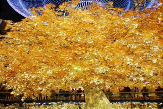 康辉旅游网2026春季旅展<跟团游>澳门甄选观光一天（含两餐+看发财树+赏澳门夜景）