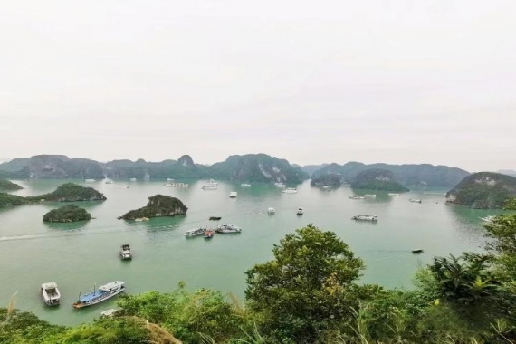 康辉旅游网<遨游越南>广州往返越南下龙湾五星游轮出海、天堂岛、海上红树林、 河内动车六日